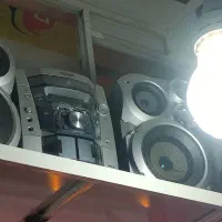 ظبت و باند کلکسیونی