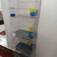 قفس پرنده