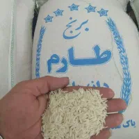 فروش انواع برنج ایرانی دانه کامل سرلاشه نیم نیمدان