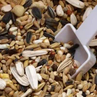 انواع دون پرندگان .به قیمت عمده