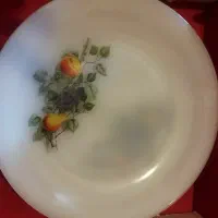 ظروف گل میوه ای
