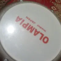تیمپو