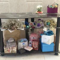 زیر تلویزیونی نو نو