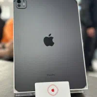 Ipad Pro M4 256GB 11 inch