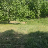 زمین کشاورزی