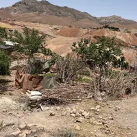 یک قطعه زمین به متراژ ۳۵۰متر در مسگراباد|فروش زمین و ملک کلنگی|تهران, مسگرآباد|دیوار
