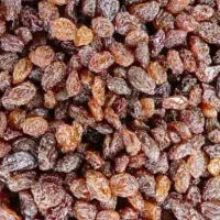 فروش انواع کشمش