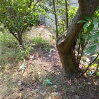 باغ‌زمین تجاری و مسکونی کنار رودخانه