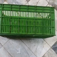 سبد شمالی