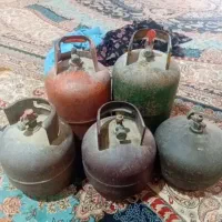 پکنیک دوقلو