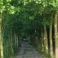 جایی برای زندگی، فرصتی برای پیشرفت مالی