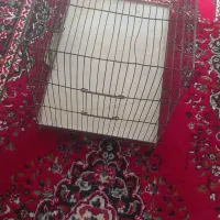 دوتا قفس|لوازم جانبی حیوانات|تهران, مسعودیه|دیوار