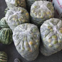 لیموترش درجه یک شیراز ۱۴۵۰۰۰ هزار تومان حراج شد
