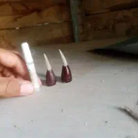 خار