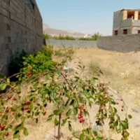 زمین مسکونی ورده