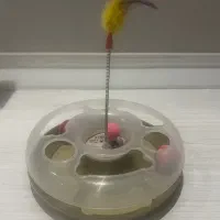 اسباب بازی گربه وسگ