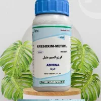 راه‌حل حرفه‌ای برای مراقبت از خوشه و برگ انگور