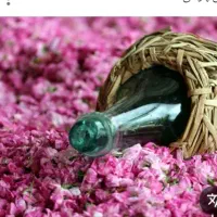 گلاب وعرقیجات کاشان