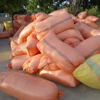 کاه دیم