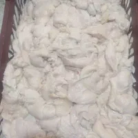 خرده دنبه مستقیم