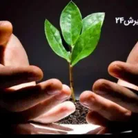 ترک اعتیاد کاملا گیاهی ویژه شاغلین