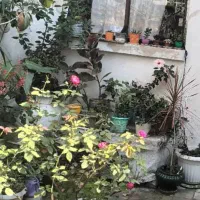 فروش-خانه-ویلایی-مشارکت-یا-فروش