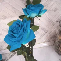 رومیزی|پرده، رانر، رومیزی|زنجان, |دیوار