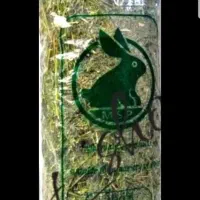 یونجه ۱۰۰٪ خالص و پاک شده و تمیز مخصوص جوندگان
