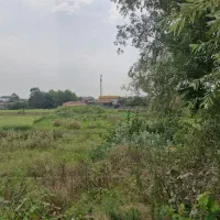 زمین