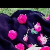 فروش وسایل کالری