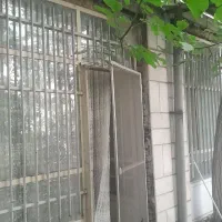 همخونه