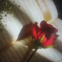 فال تضمینی