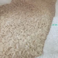 برنج چمپا وشمالی