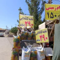 تابلوگیرآقا