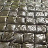 انواع سبزی خشک و خورشتی و...