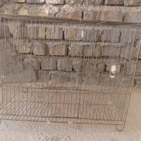 قفس|لوازم جانبی حیوانات|خمینی‌شهر, |دیوار