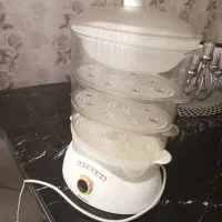 بخار پز