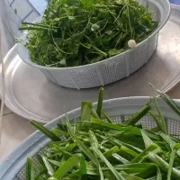 سبزی قورمه باقالی پوست کنده سبزیجات آماده طبخ