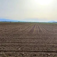 10هکتارزمین-کشاورزی-همراه-با-5-دانگ-چاه-آب-عمیق
