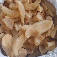 فروش ثعلب خشک کیلویی ۲۰میلیون
