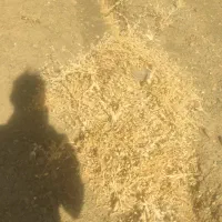 بدنه کولرابی7000سالم درحدنو.بدون دینام وپمپ اب.