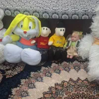 ۶عدد عروسک