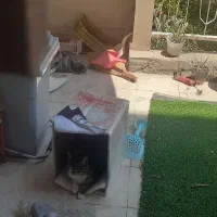 نیروی خدمات نظافتی در منزل
