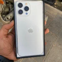 13Pro max