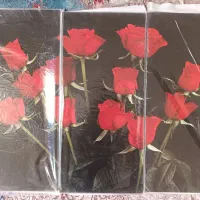 قاب سه تیکه نو