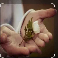 راهنمایی بفرمایید