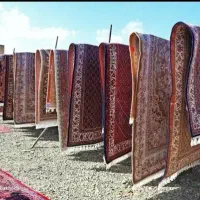 قالیشویی،مبلشویی،خشکشویی ماهان کنگان