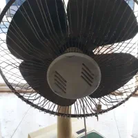 پنکه زمینی و سقفی