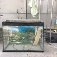 اکواریوم