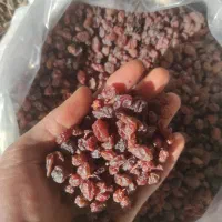 کشمش آفتابی درجه یک و آلو خورشتی